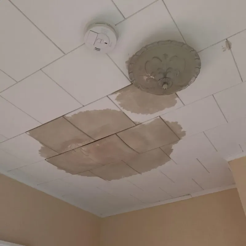 Ceiling Water Damage Repair in Au Sable, MI